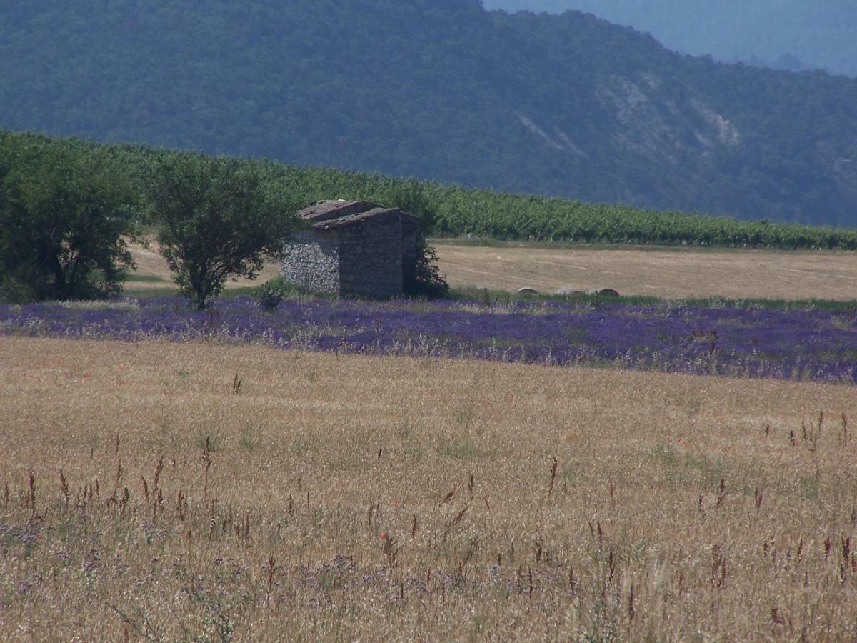 Le Pigeonnier D'hôte